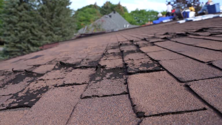 Best 4 Ply Roofing  in Mayodan, NC
