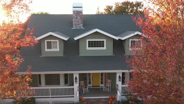 Best Roof Moss and Algae Removal  in Mayodan, NC